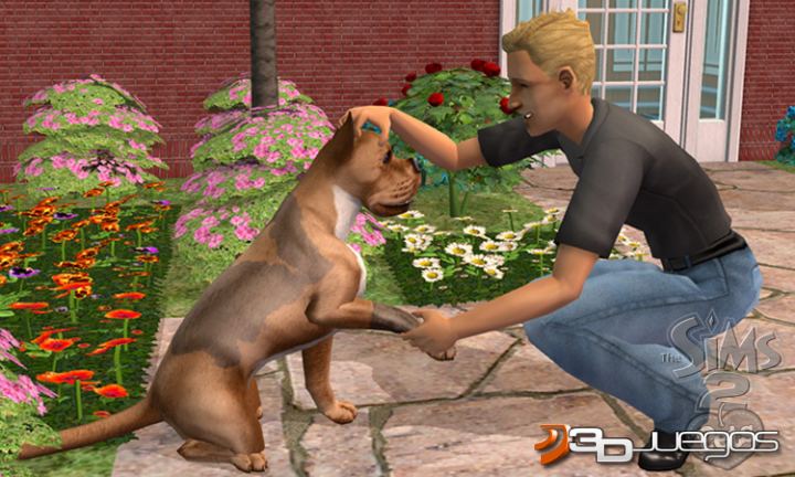 Códigos de desbloqueo de ‘Los Sims 2 Mascotas’