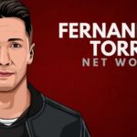 Patrimonio neto de Fernando Torres