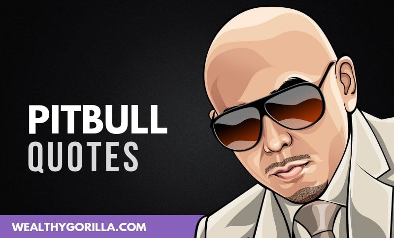 33 de las mejores frases y letras de Pitbull - 3 - agosto 21, 2021