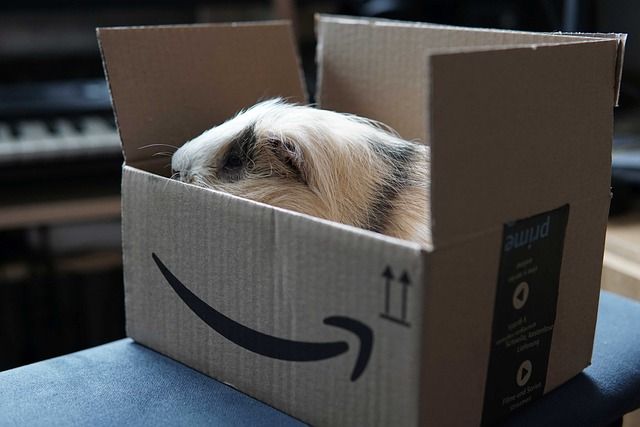 ¿Cómo puedo cancelar mi renovación de Amazon Prime? - 3 - noviembre 22, 2021