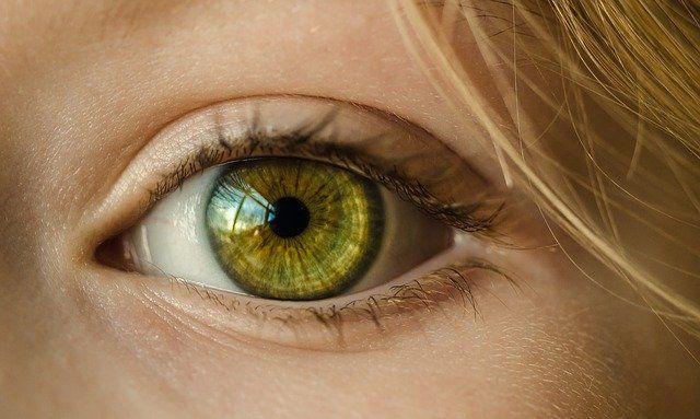 ¿Puede el ojo de Timeo convocar a Dragun de ojos rojos? - 3 - noviembre 26, 2021