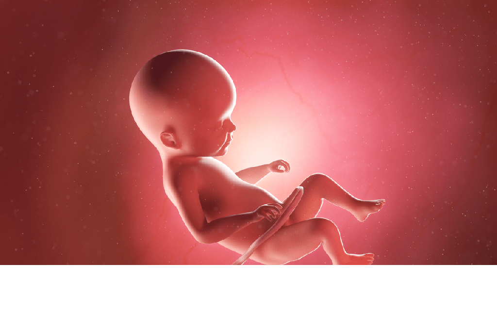 Niños Tamagotchi: ¿podría ser el futuro de la paternidad tener hijos virtuales en el metaverso? - 5 - mayo 31, 2022