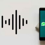 Cómo cambiar el Tono de WhatsApp de tus contactos favoritos