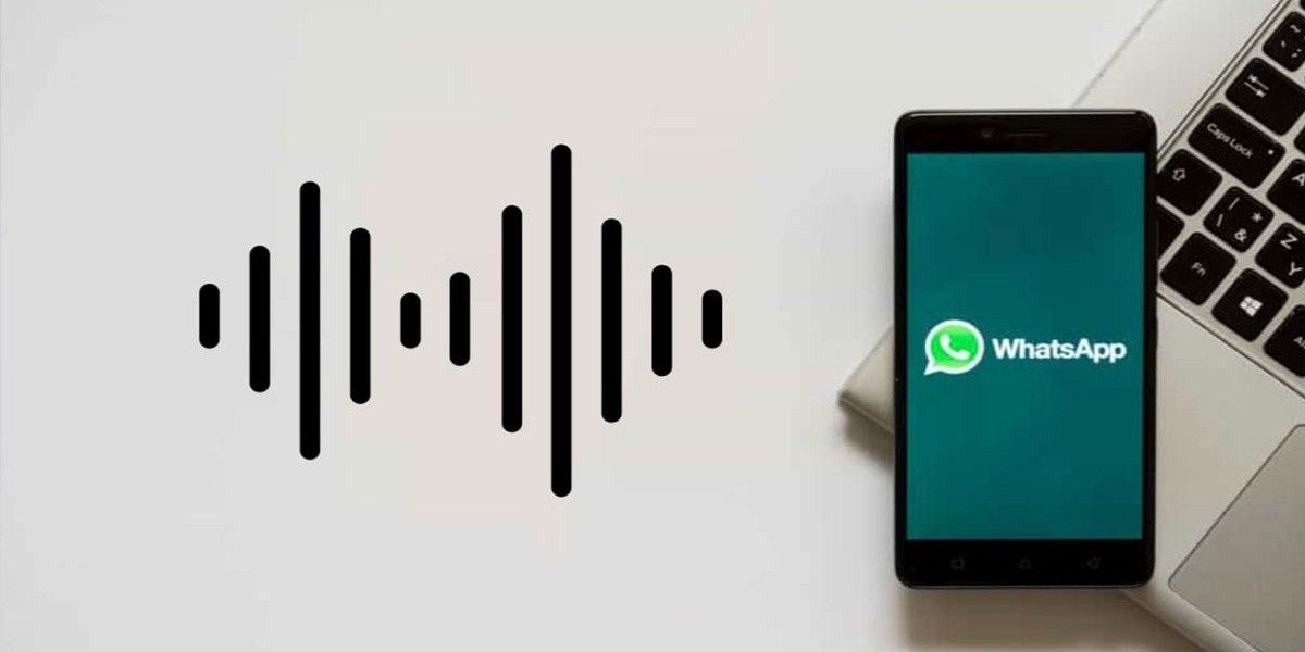 Cómo cambiar el Tono de WhatsApp de tus contactos favoritos - 23 - mayo 17, 2022
