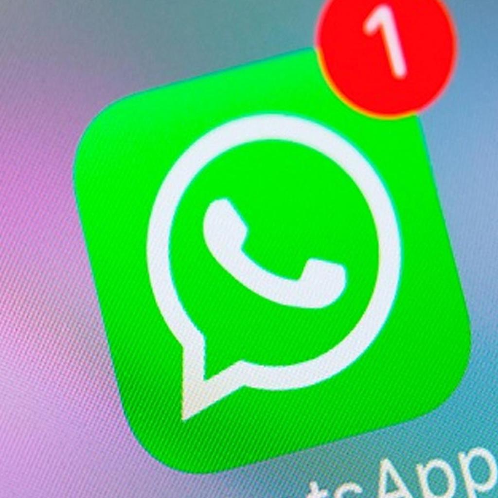Alerta! profesores enviaron mensajes de WhatsApp "degradantes" a los alumnos discapacitados - 3 - mayo 19, 2022