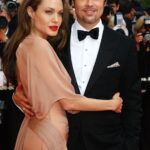 Angelina Jolie Brad Pitt Divorce y su caso de custodia en curso