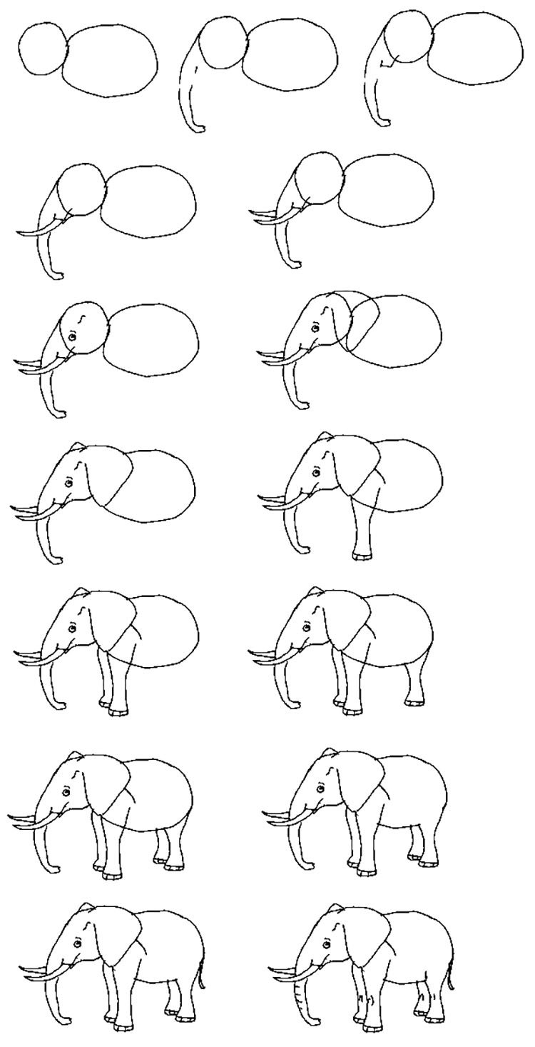 24 Ideas lindas de boceto de animales para principiantes - 13 - julio 4, 2022