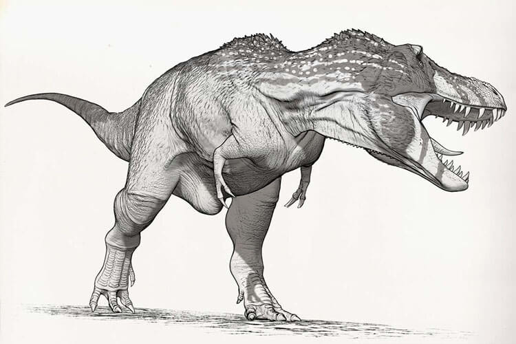 22 Dibujos divertidos y geniales de dinosaurios - 15 - julio 3, 2022