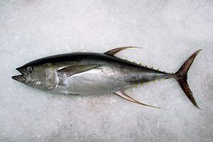 Precio de atún aleta amarilla - en 2022 - 7 - julio 11, 2022