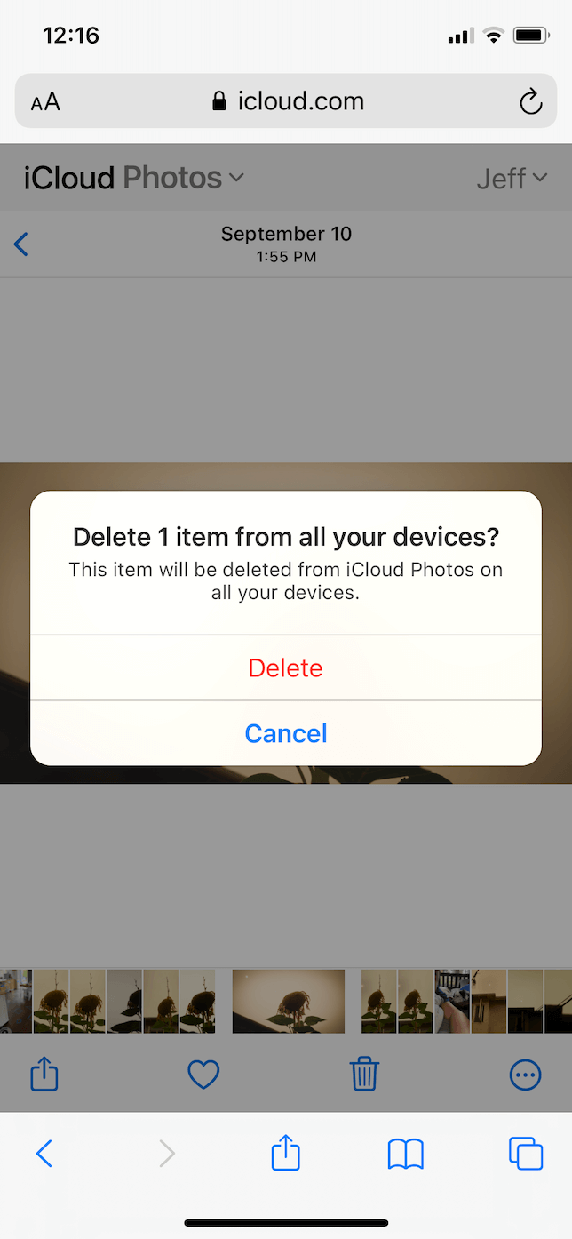 ¿Cómo eliminar las fotos de su iPhone, iPad e iCloud? - 19 - junio 8, 2022