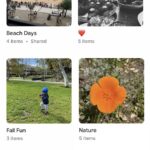 Amazon Photos, Google Photos o iCloud? Aplicaciones de almacenamiento de fotos comparadas