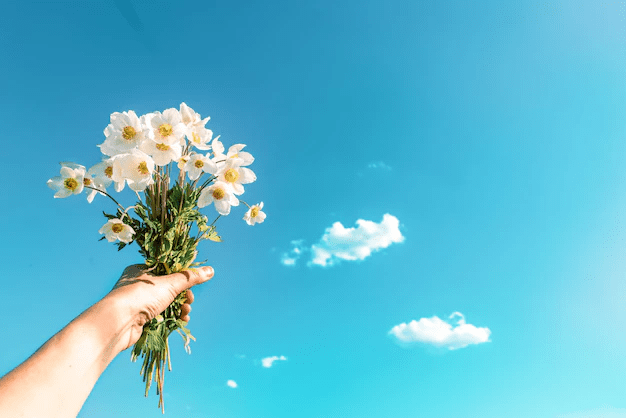 El arte de la fotografía de flores: 15 consejos para obtener más resultados artísticos - 11 - junio 24, 2022