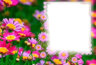 El arte de la fotografía de flores: 15 consejos para obtener más resultados artísticos - 13 - junio 24, 2022