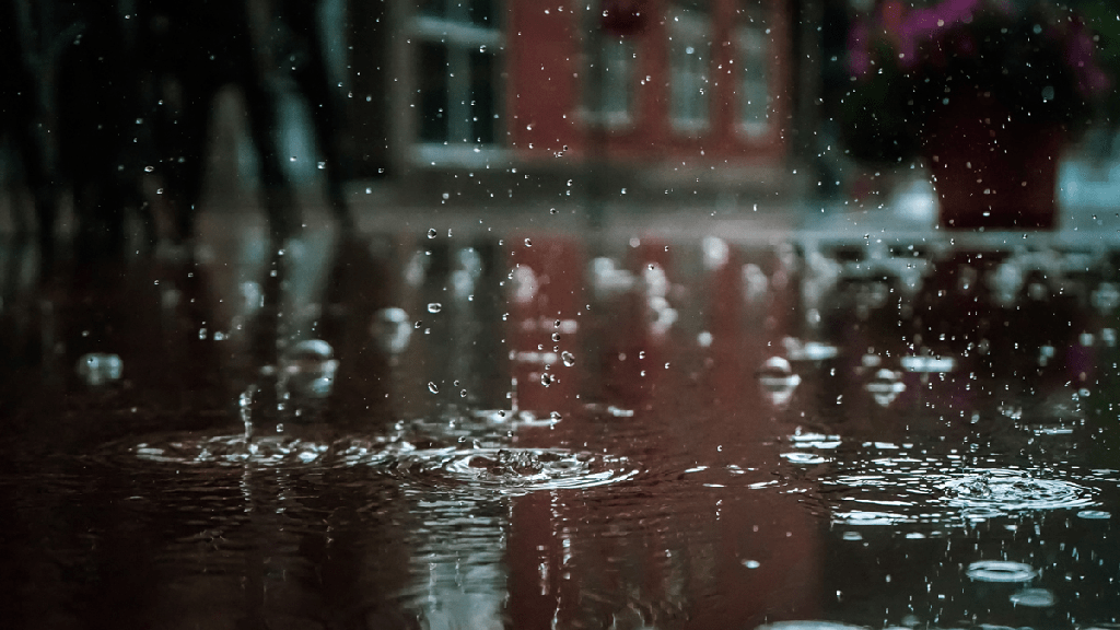 Fotografía de la lluvia en iPhone: consejos e ideas para mejores fotos de lluvia - 7 - junio 24, 2022