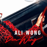 ¿Ali Wong es chino? Saber sobre su etnia, padres, hijos, esposo ...