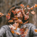 Subtítulos de otoño para Instagram (2022): lindo, divertido, bueno