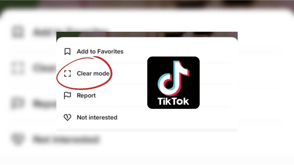 TikTok 'Modo Claro' que elimina los botones al desplazarse por los vídeos - 3 - junio 1, 2022