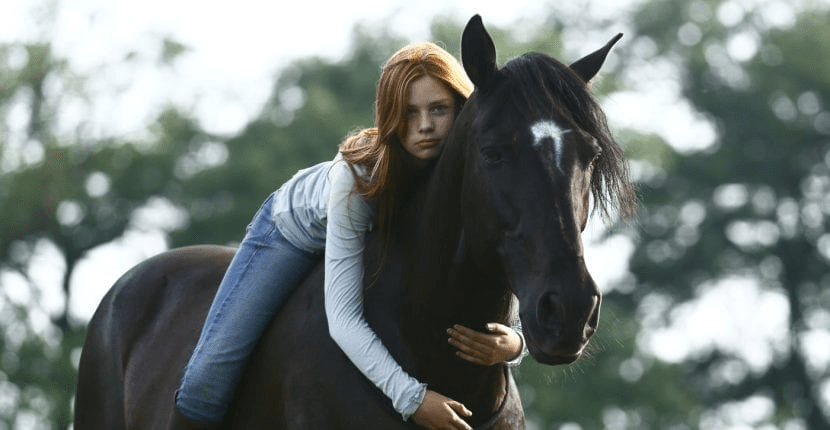 Las 25 mejores películas de caballos de todos los tiempos y dónde ver - 3 - junio 17, 2022