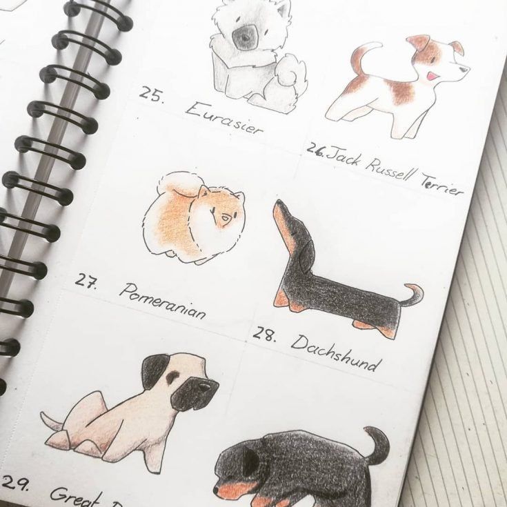 24 Ideas lindas de boceto de animales para principiantes - 9 - julio 4, 2022