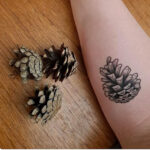 17 Tatuajes de Pinecone para personas que aman la naturaleza