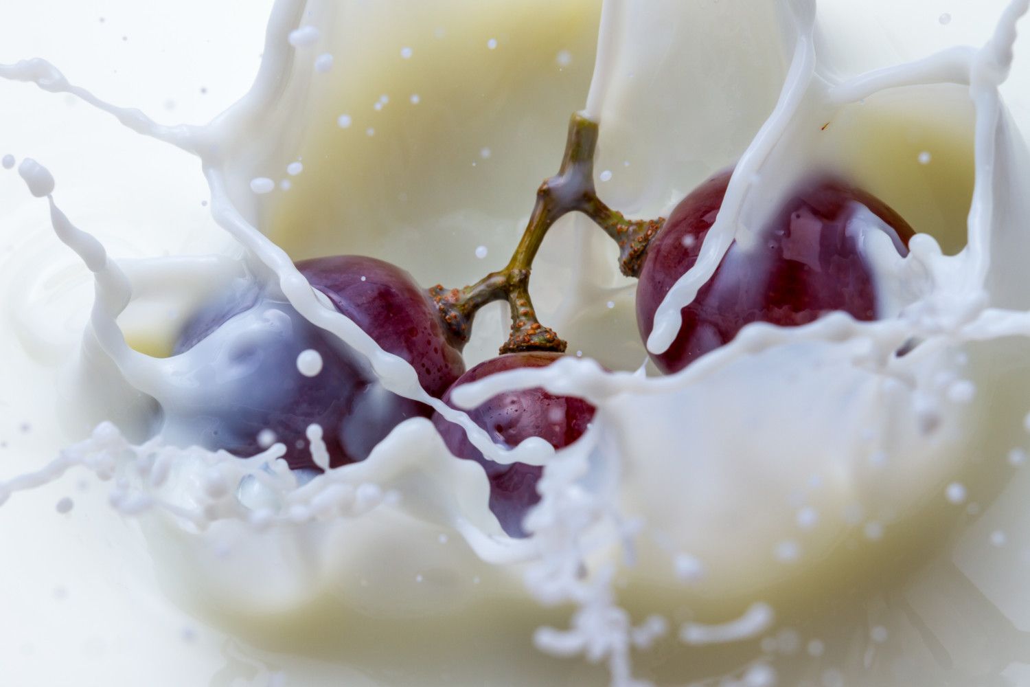 ¿Por qué es casi imposible encontrar el helado de uva? - 5 - octubre 31, 2022
