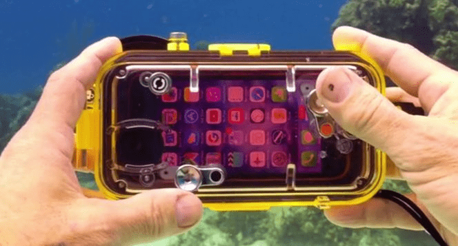 Una guía para principiantes para la fotografía submarina en iPhone - 13 - julio 6, 2022