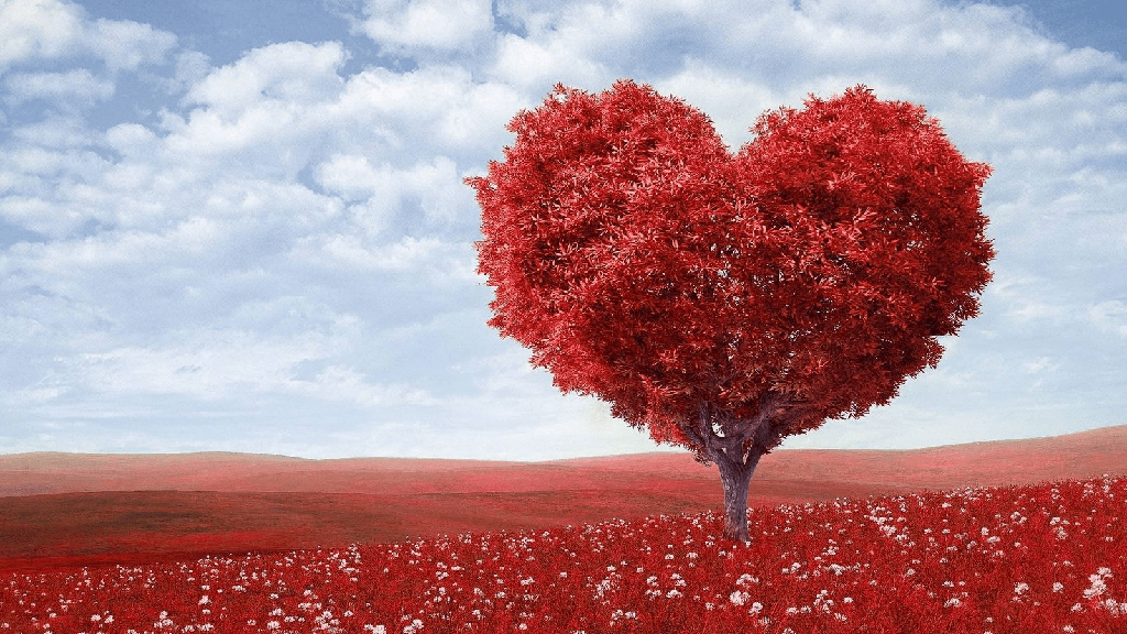 Notas de amor, mensajes creativos y románticos para la mujer que amas - 11 - julio 28, 2022