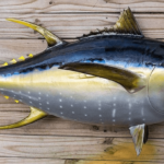 Precio de atún aleta amarilla - en 2022