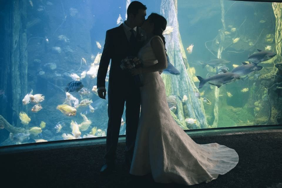 Precio de boda en el acuario de Monterey Bay - en 2022 - 3 - julio 11, 2022