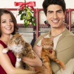 Hallmark es The Nine Kittens of Christmas: Todo lo que debes saber antes de verlo