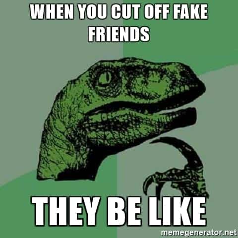 27 memes de amigos falsos - 45 - agosto 11, 2022