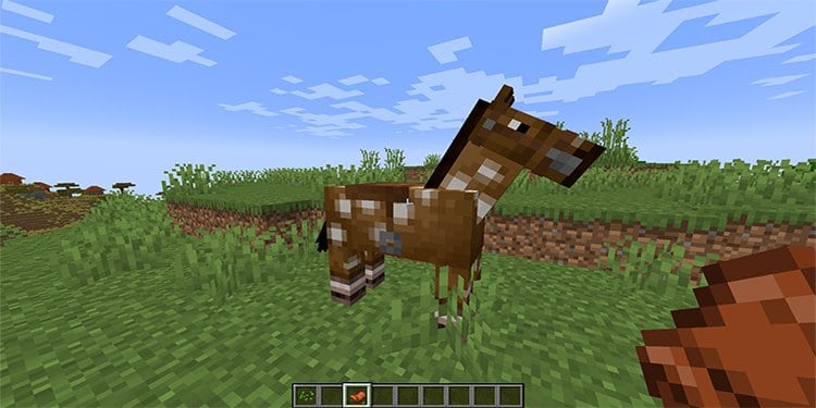Cómo domesticar y montar un caballo en Minecraft - 11 - agosto 16, 2022