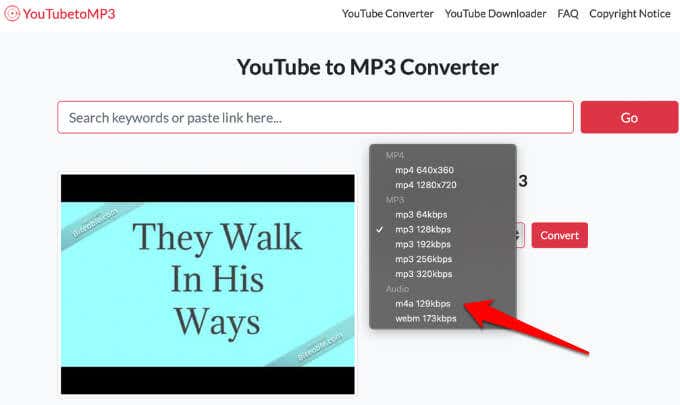 Cómo convertir YouTube en MP3 en Windows, Mac y Mobile - 19 - agosto 16, 2022