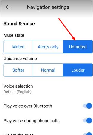 Google Maps Voice no funciona: ¿por qué y cómo solucionarlo? - 19 - agosto 18, 2022