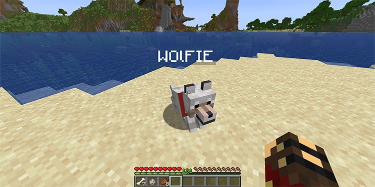 Cómo domar a un lobo en Minecraft - 11 - agosto 24, 2022