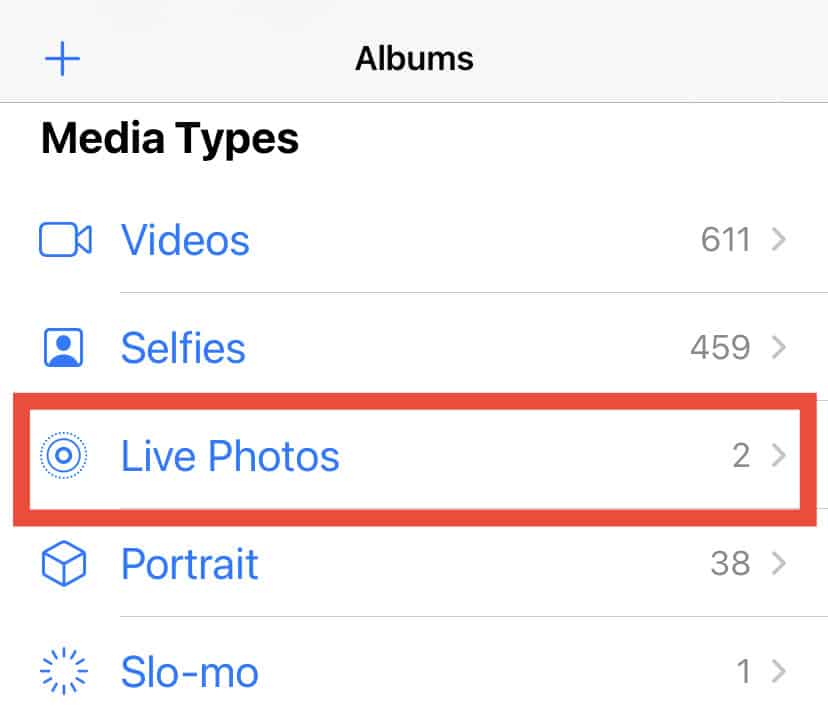 ¿Cómo apagar las fotos en vivo en iPhone? - 23 - agosto 24, 2022