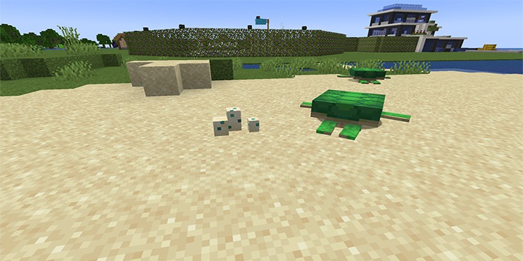 ¿Cómo criar tortugas en Minecraft? - 9 - septiembre 9, 2022