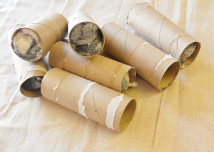 11 Formas geniosas de reutilizar sus tubos de papel higiénico - 11 - agosto 30, 2022
