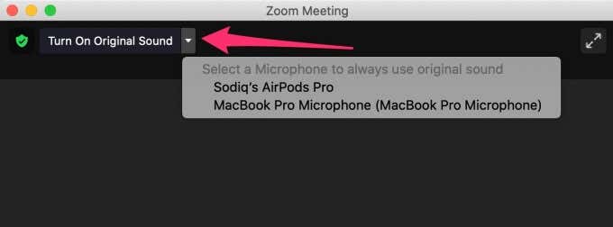 ¿El micrófono de zoom no funciona en Windows o Mac? Aquí hay 8 correcciones para probar - 29 - agosto 31, 2022