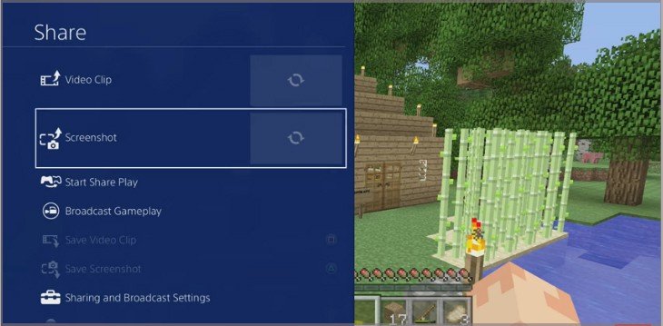 Cómo tomar una captura de pantalla en Minecraft - 23 - septiembre 5, 2022