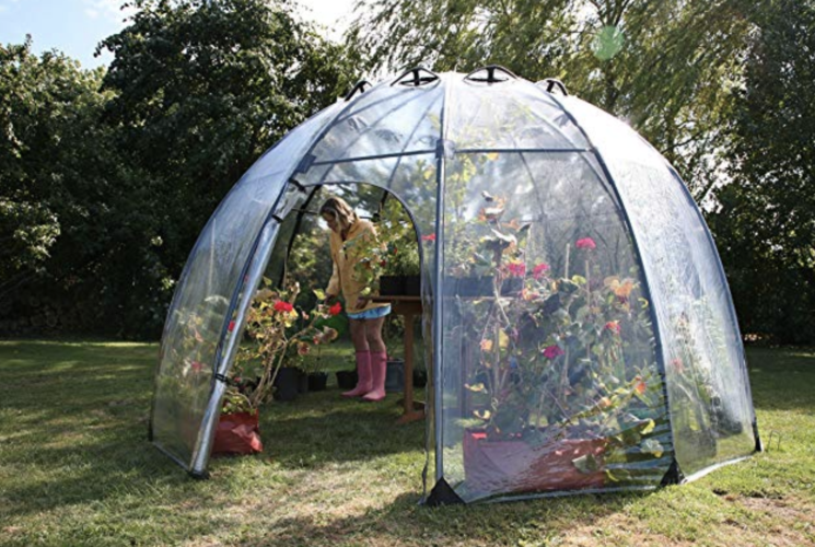 Amazon tiene un Igloo de domo de jardín para el patio trasero - 20 - septiembre 30, 2022