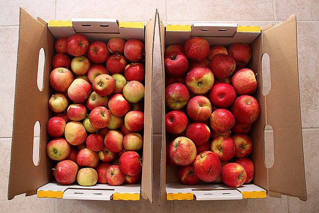 ¿Por qué las manzanas HoneyCrisp son tan caras? - 3 - septiembre 24, 2022