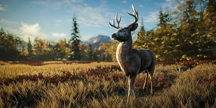 Los mejores 12 juegos de caza en PS4 y PS5 - 7 - octubre 7, 2022