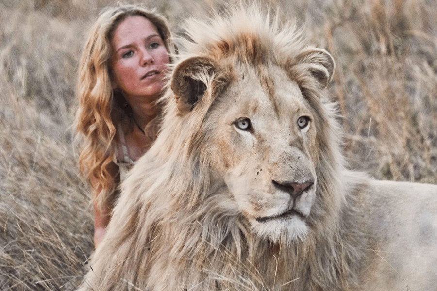 ¿Puedes tener un león mascota? (4 razones por las que es una mala idea) - 7 - agosto 17, 2022