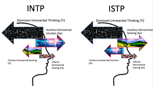Intp vs. Insp (tipos de personalidad similares y sin embargo diferentes