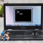 ¿Cómo abrir la terminal de Linux en Chromebook?
