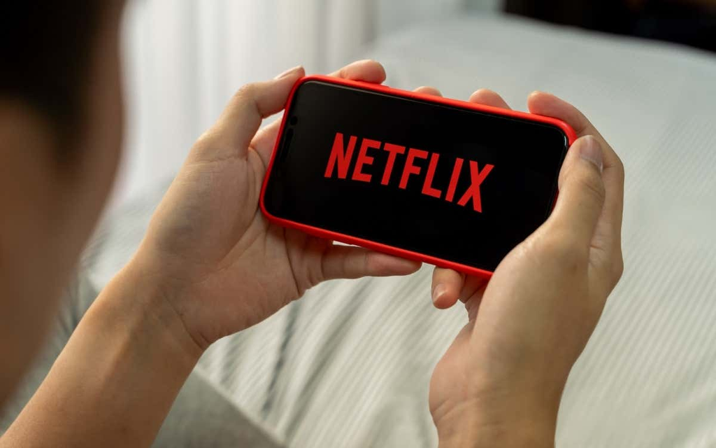 ¿Netflix no se descarga en iPhone y iPad? Prueba estas 15 correcciones - 3 - septiembre 20, 2022