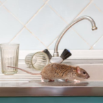 Formas de evitar que los ratones entren en su casa