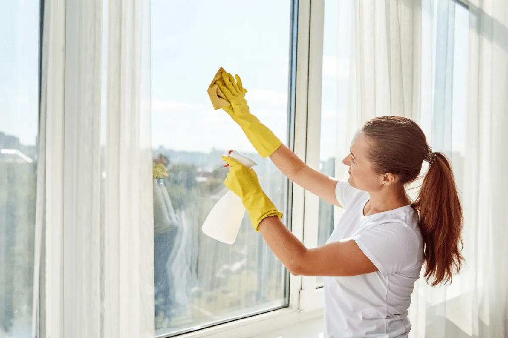 ¿Cómo limpiar sus ventanas y mantenerlas libres de rayas? - 3 - septiembre 9, 2022