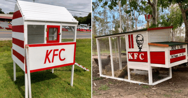 KFC Chicken Coops parece restaurantes de comida rápida - 7 - julio 28, 2022